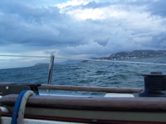 100_0339.JPG