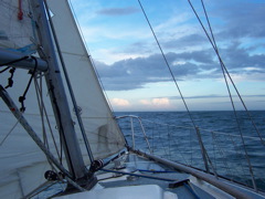 100_0340.JPG